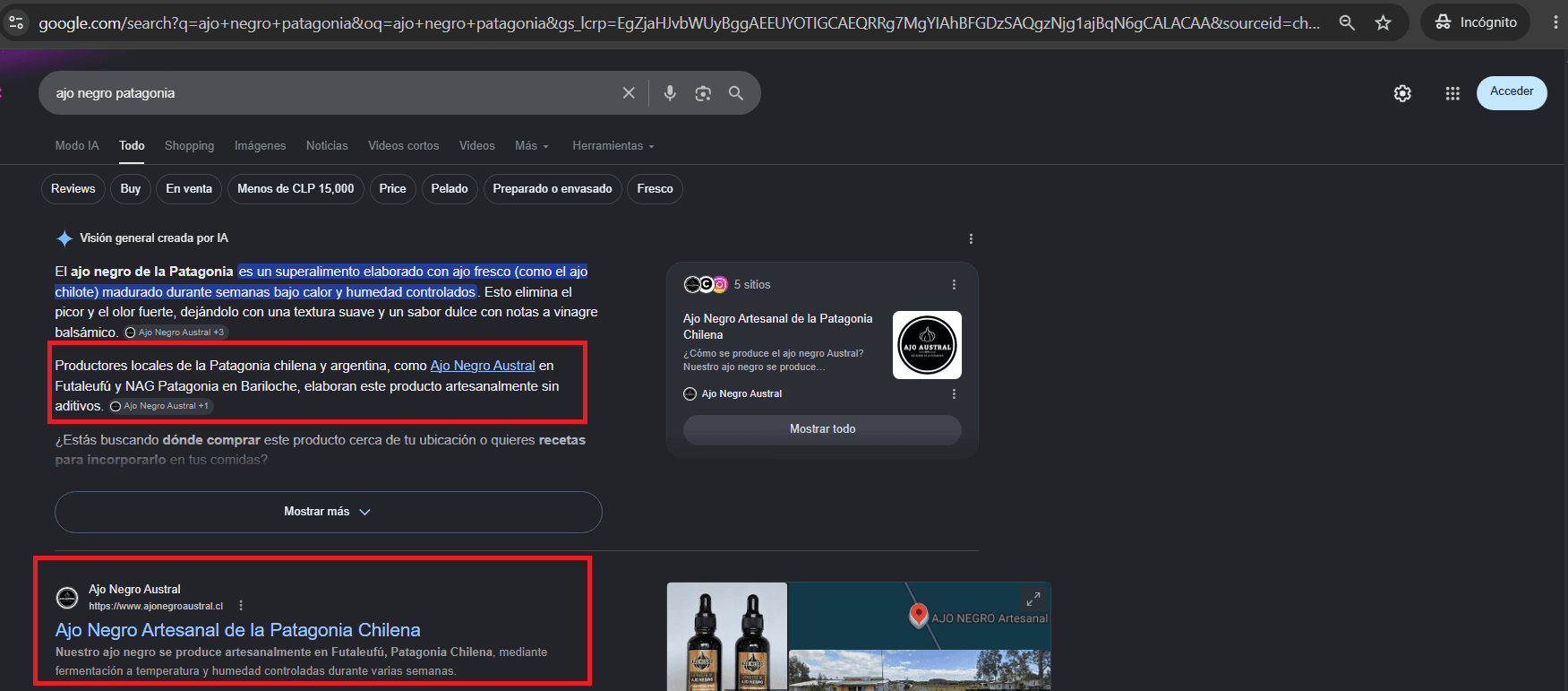 Búsqueda de Google en incógnito para "ajo negro patagonia": la IA de Google menciona a Ajo Negro Austral como productor local y su sitio es el primer resultado orgánico