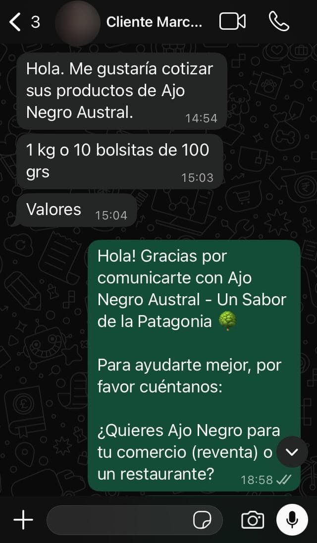 Conversación real de WhatsApp: cliente cotizando ajo negro por kilo y en bolsitas