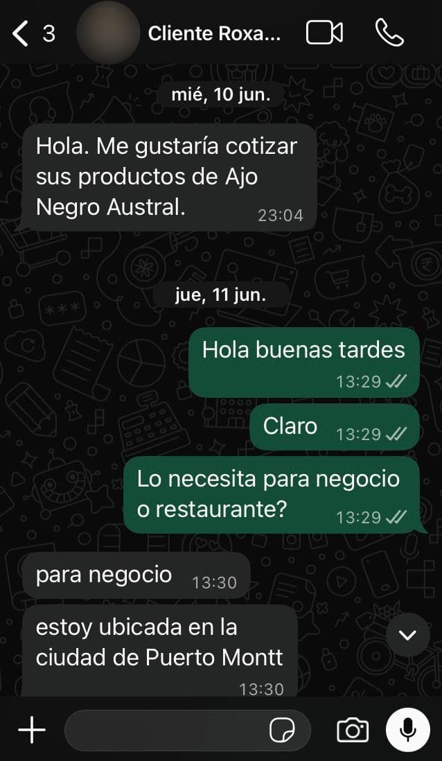 Conversación real de WhatsApp: clienta de Puerto Montt cotizando para su negocio