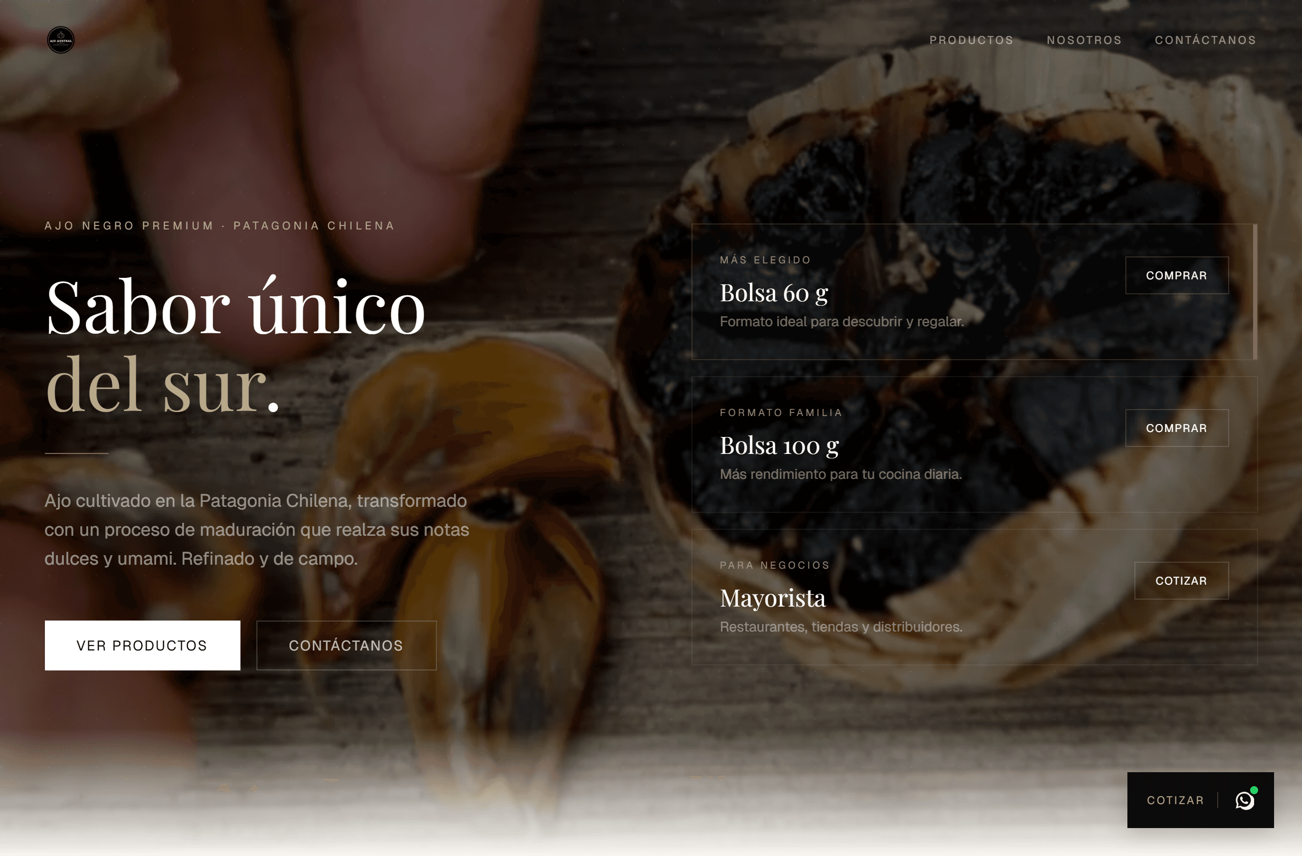 Sitio web Ajo Negro Austral — posicionamiento en Google Chile