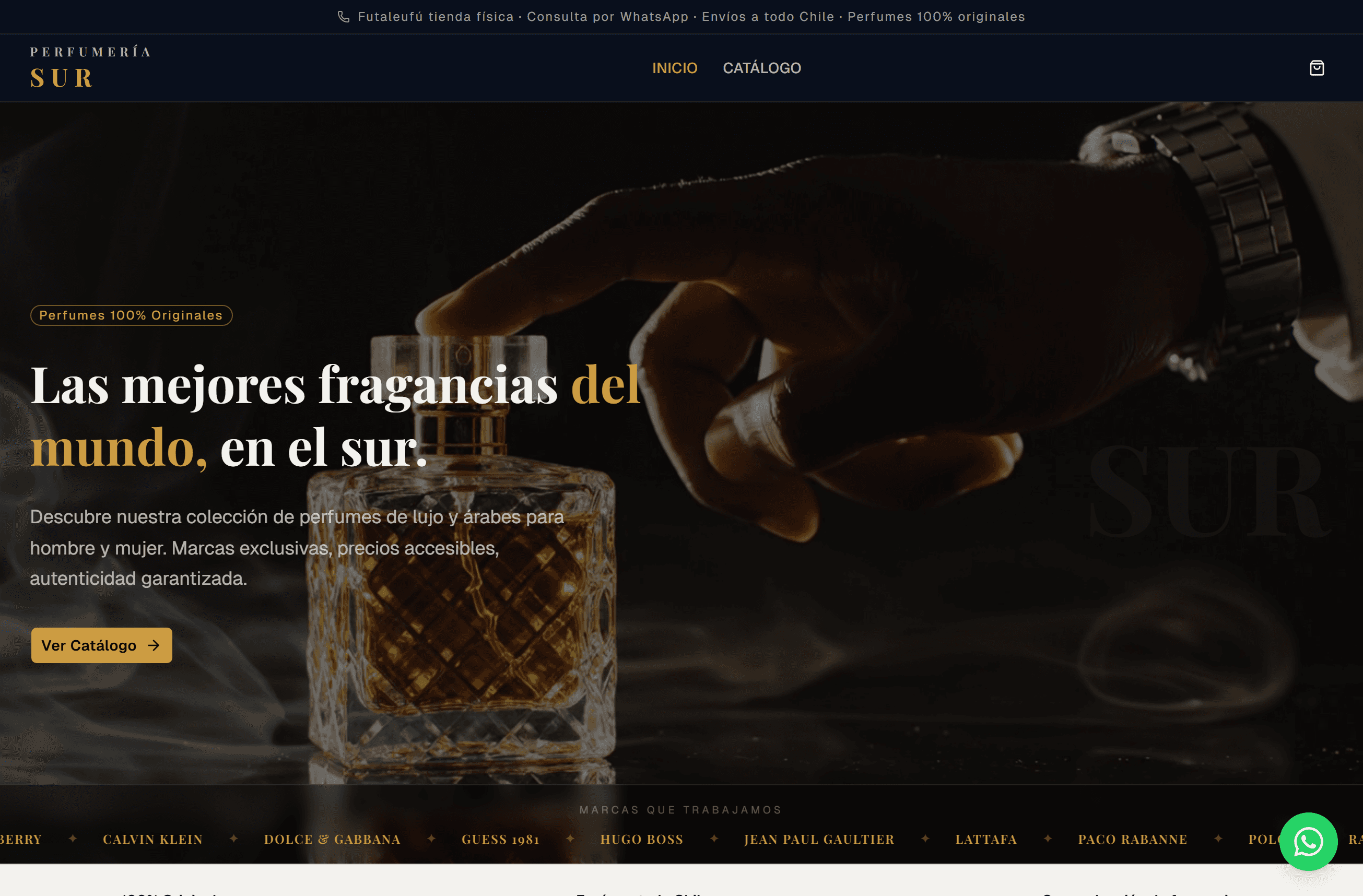 Sitio web Perfumería Sur — posicionamiento en Google Chile