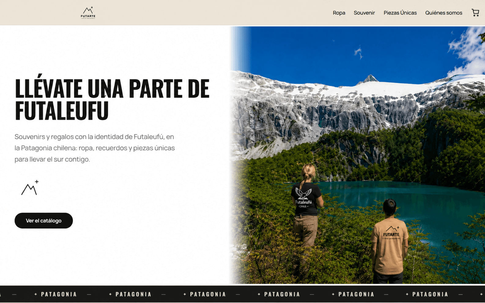 Sitio web Futarte — posicionamiento en Google Chile